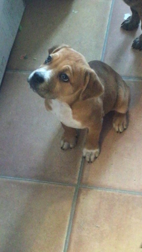 Looking for forever homes 