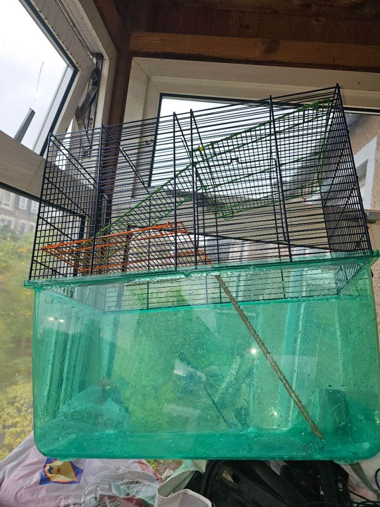 FREE Hamster Cage 