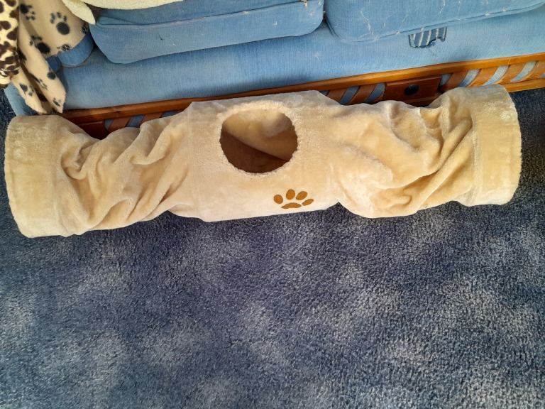 Free cat tunnel
