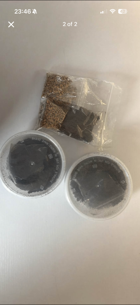 Cat grass kit 
