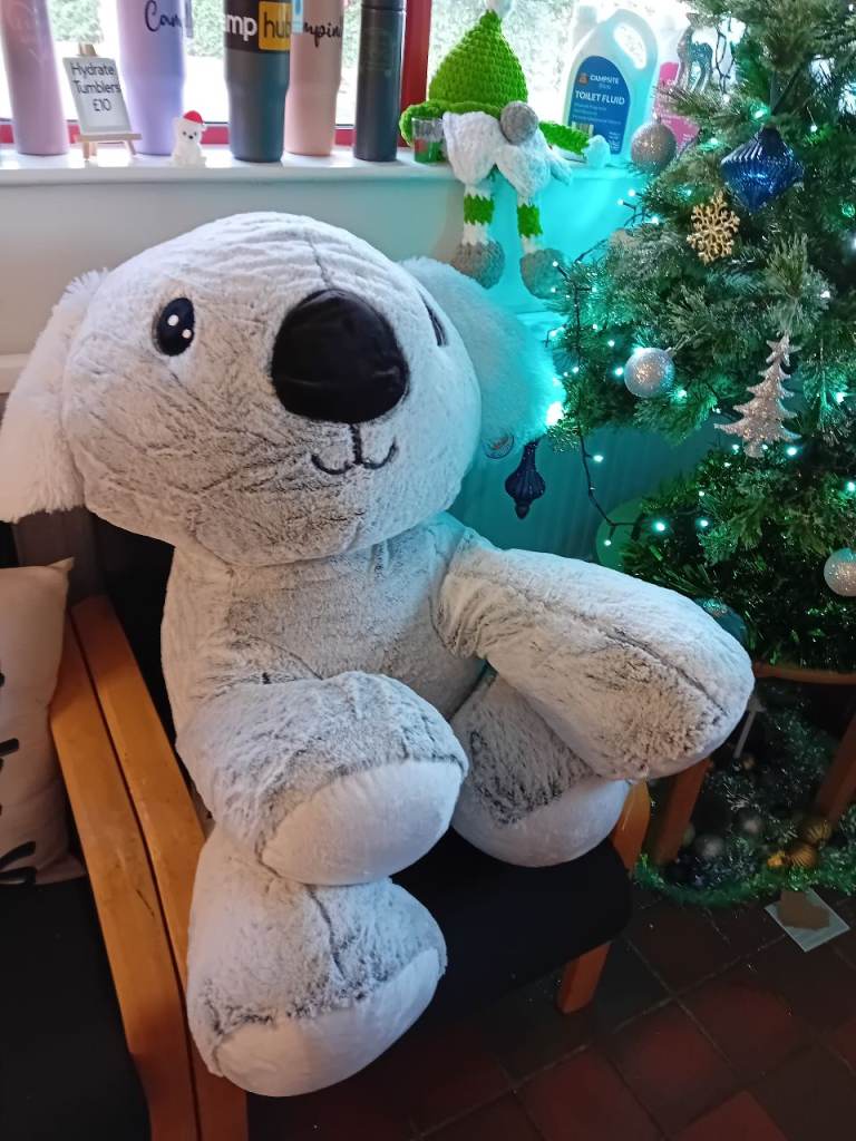 FREE giant koala bear bean bag. 