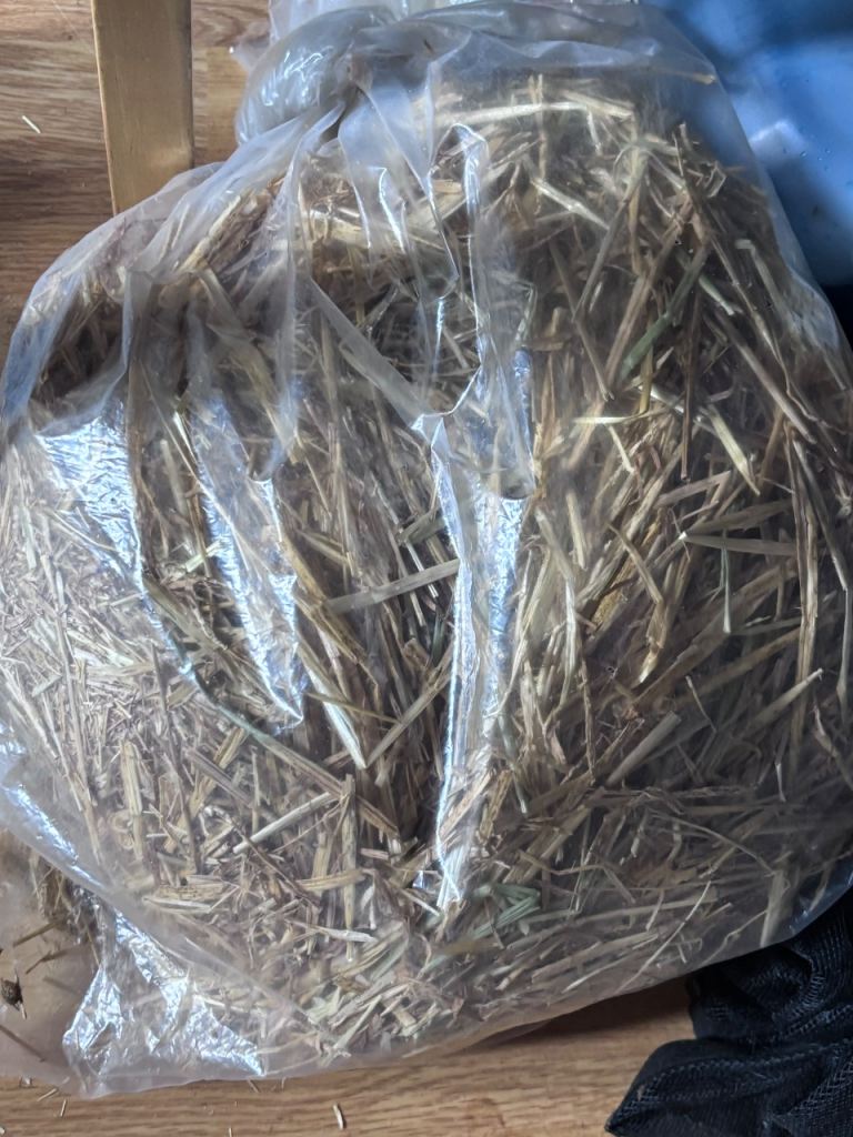 Free hay 