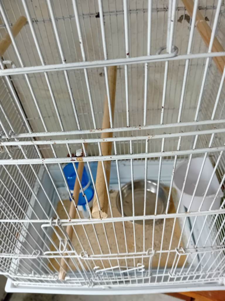Large bird cage 