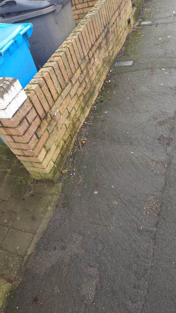 Triumph, THUNDERBIRD, 2002, 885 (cc)