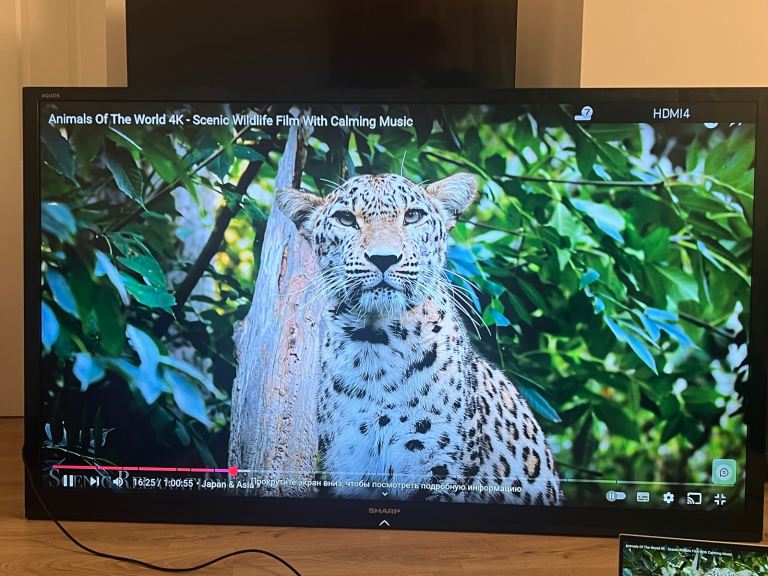 Sharp 80”LCD TV (3D) + KEF V 700 Digital TV sound bar (No subwoofer)