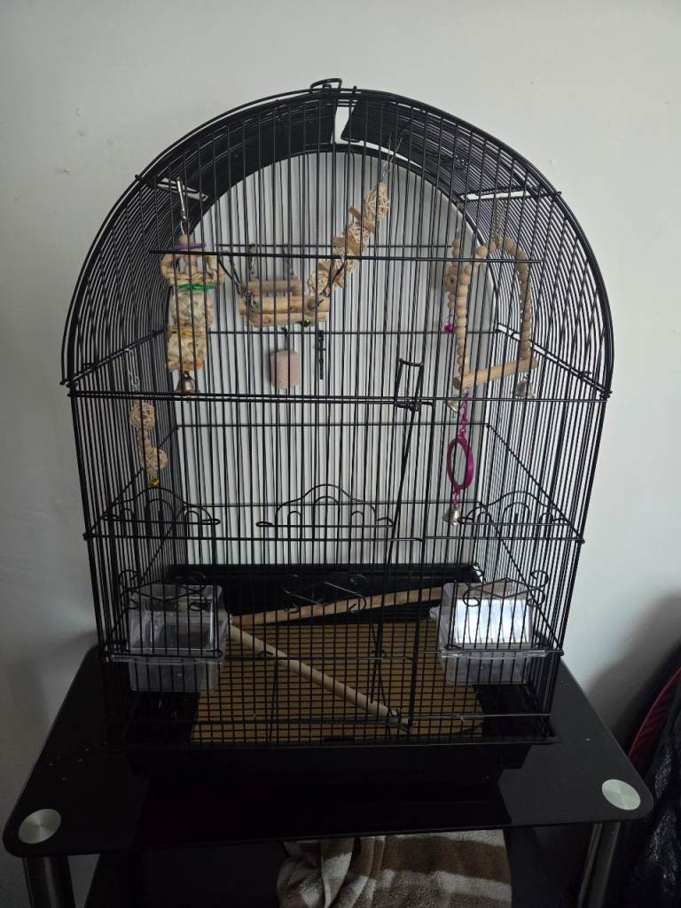 Black birdcage 