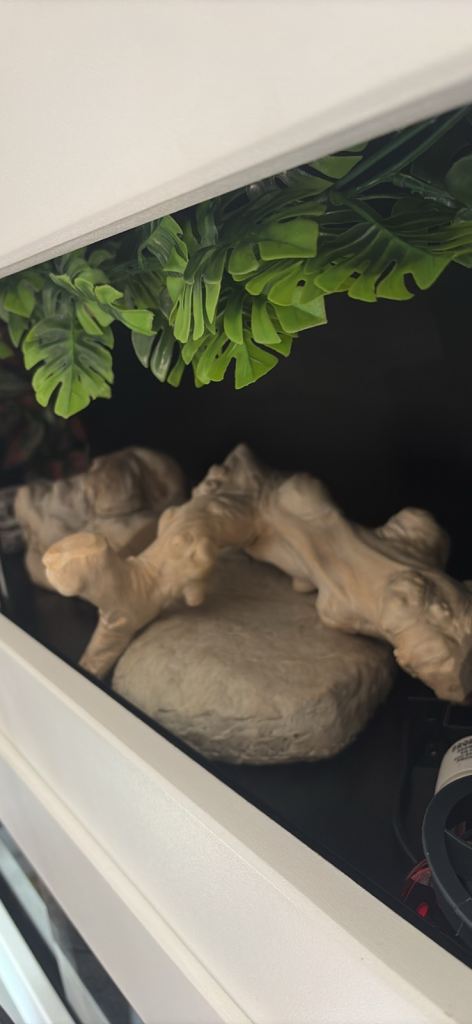 4ft vivarium 
