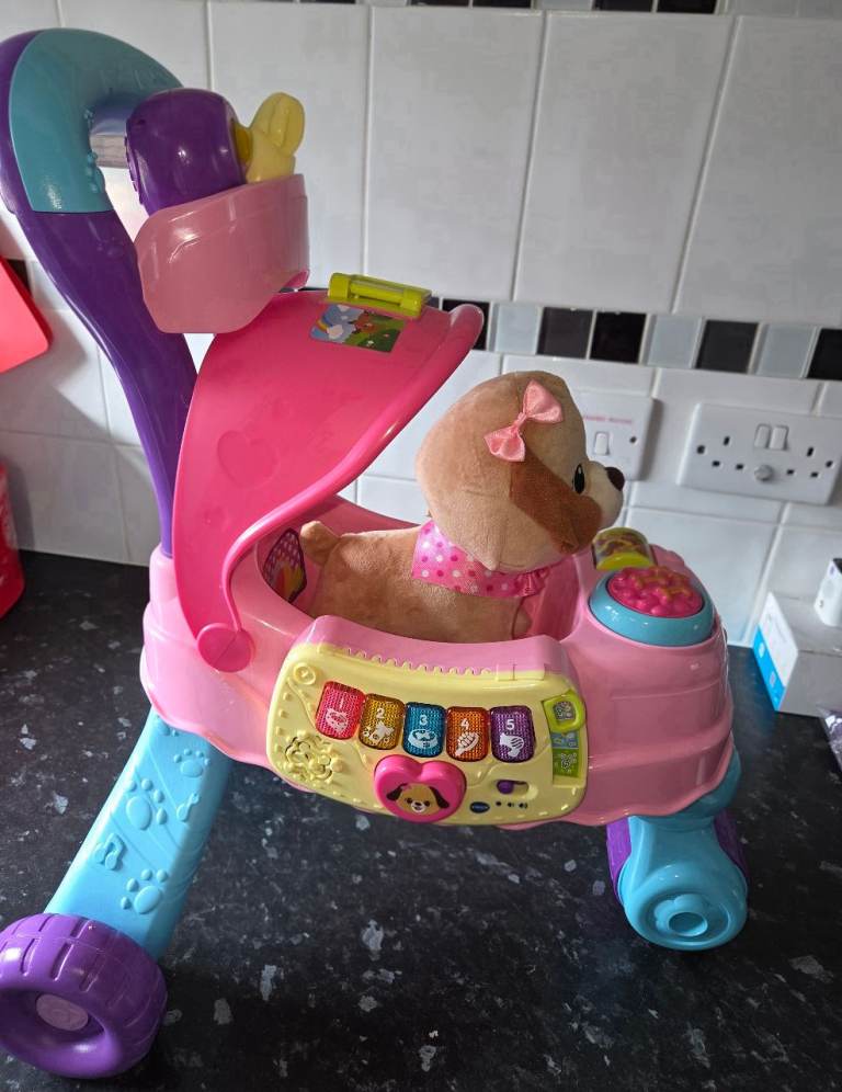 Vtech push along pet carrier 