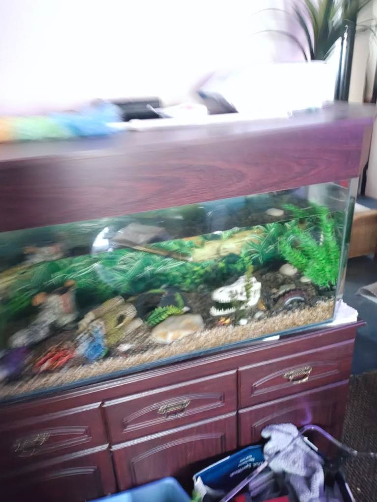 3 foot fishtank wanted