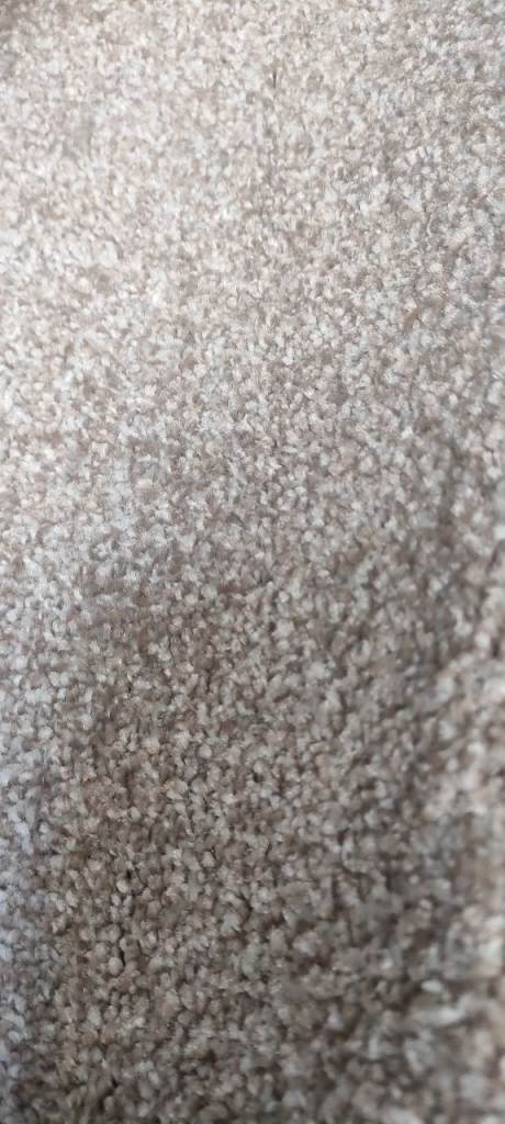 New cream carpet 