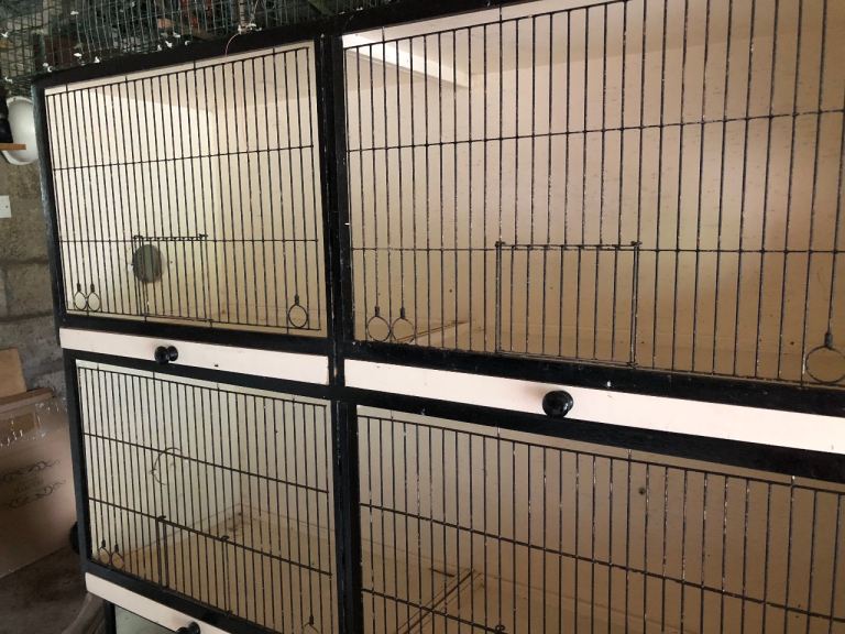 Breeding cages for canaries
