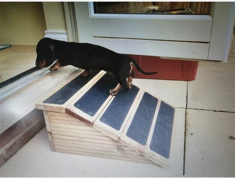 16cm H x 40cm W x 40cm L base Pet Ramp - Super Quality Strong