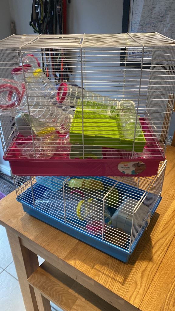 Hamster Cases