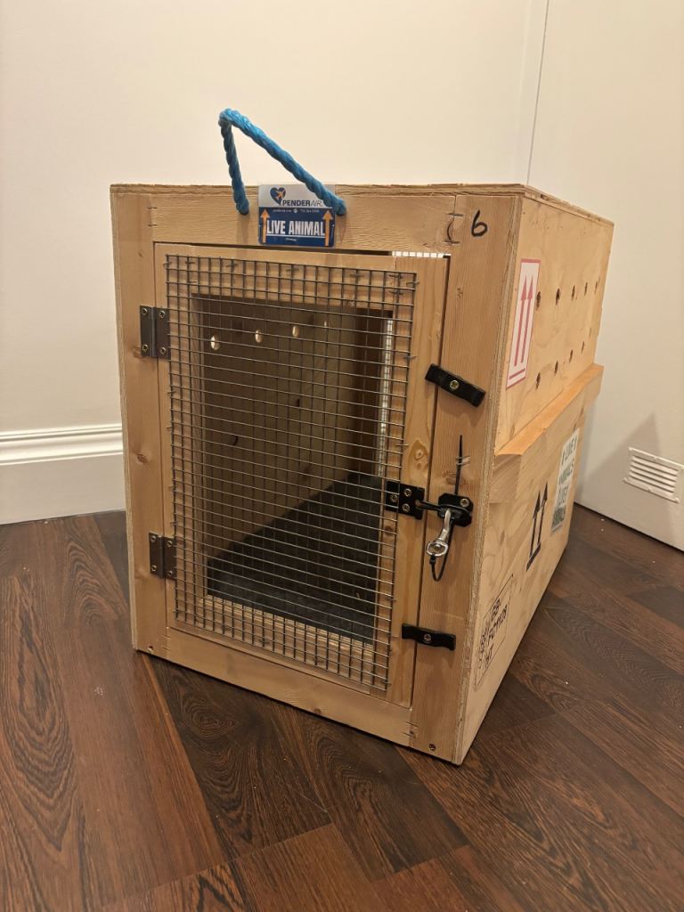 Pet Crate / Carrier 