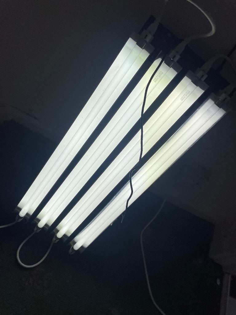Indoor growing hydroponics 