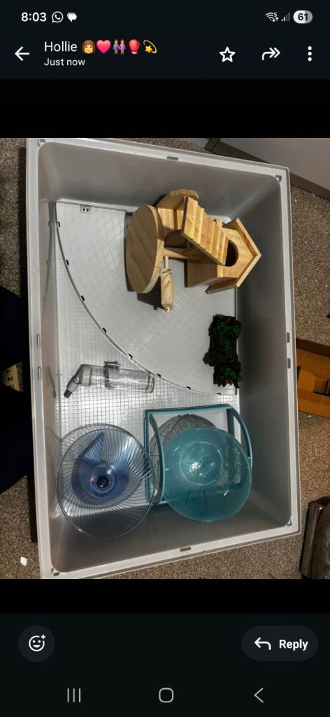 image for Hamster Bundle - used for 2 weeks