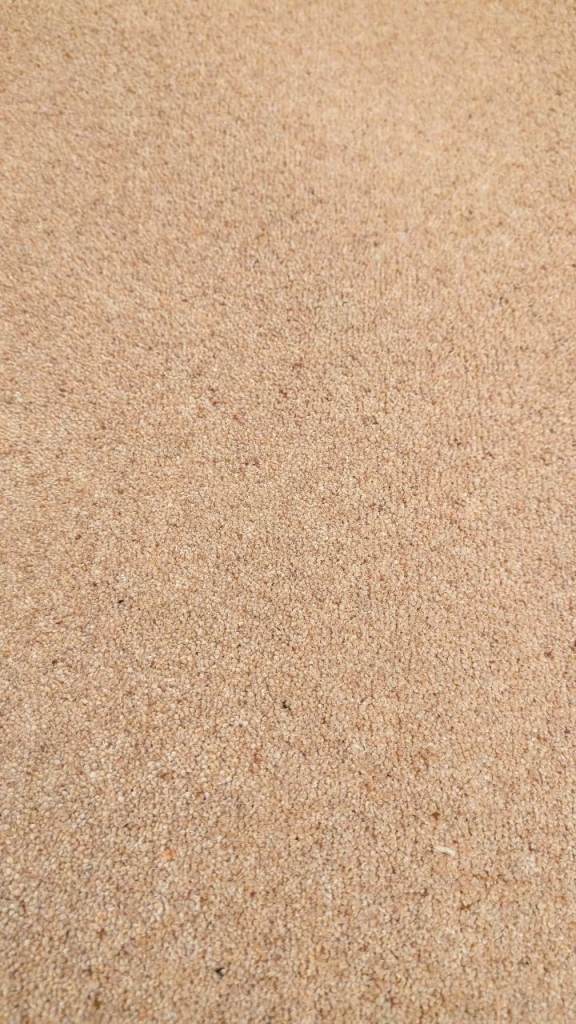New pure wool twist beige carpet