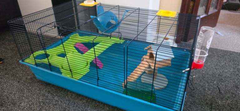 Large hamster cage