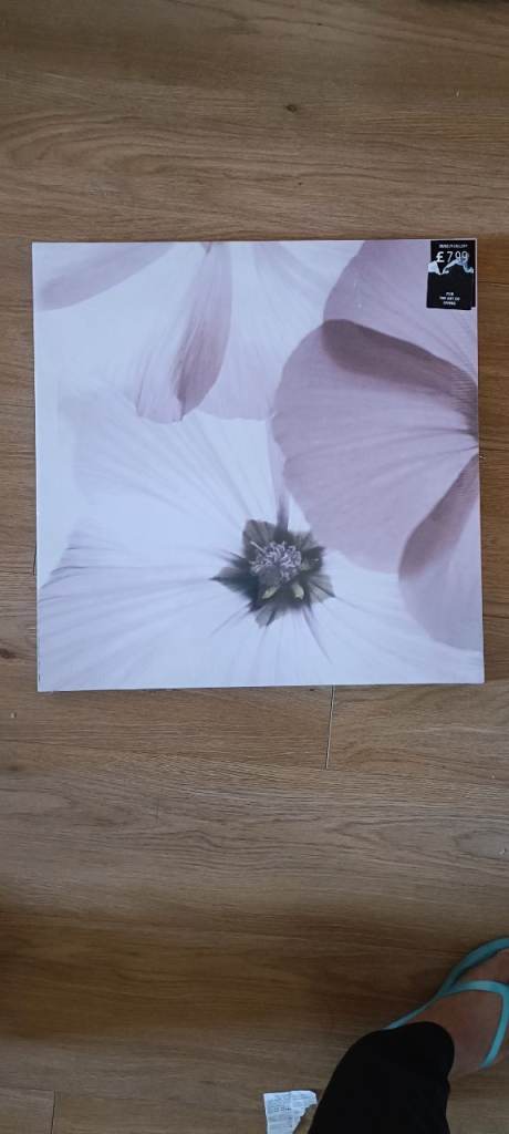 Canvas Picture 