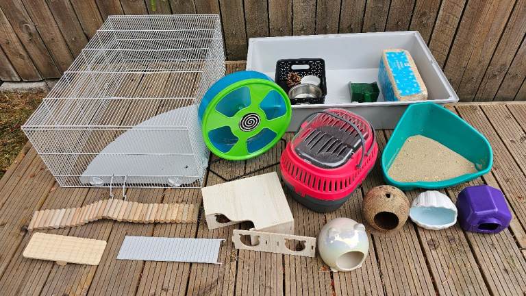 Complete Hamster Setup – Cage, Accessories & Supplies