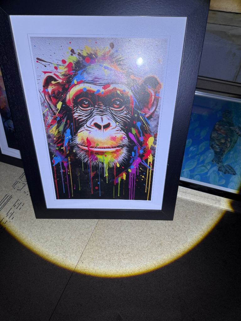 Framed Monkey Art Print – Colourful, Good Condition
