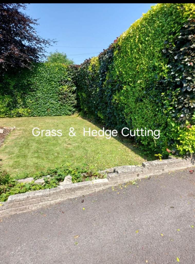Grass cutting  .... Hedge Cutting 