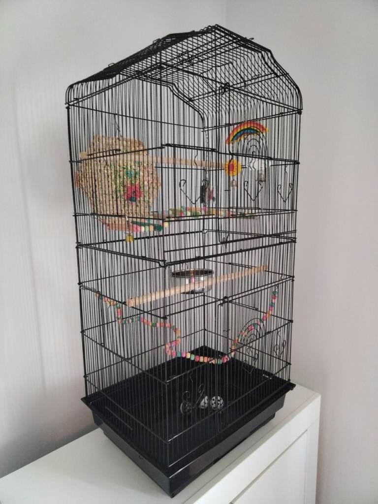 Bird cage and accessories 