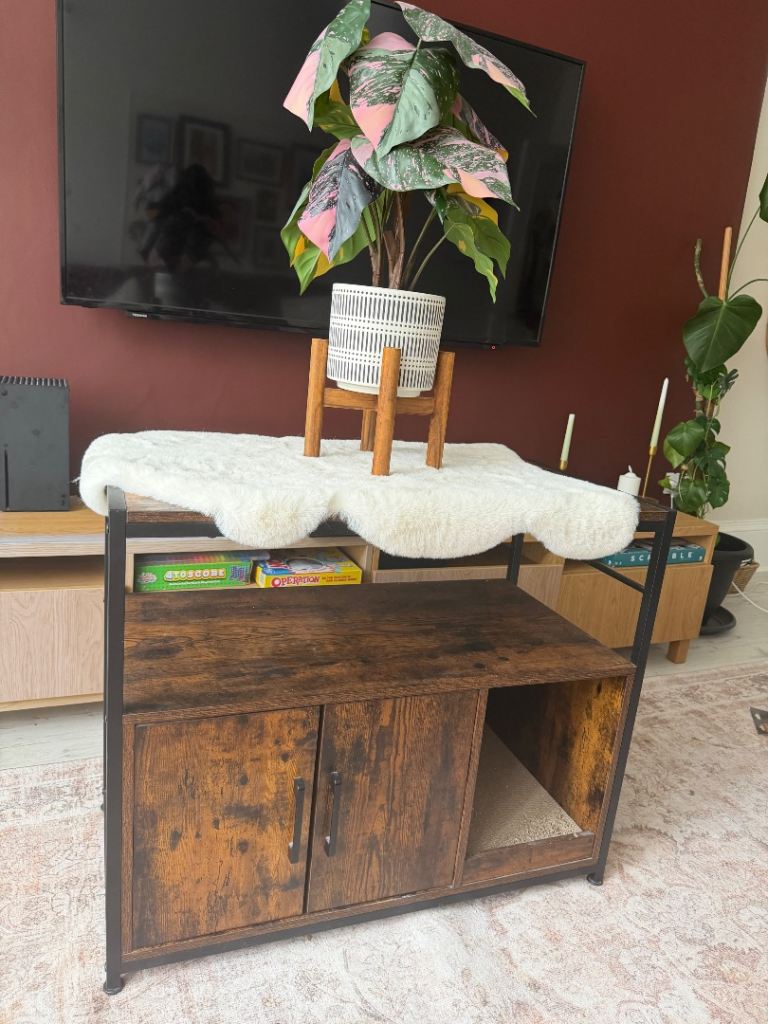Cat litter box enclosure 
