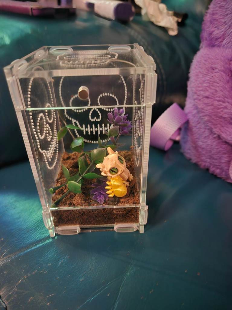 Small jumping spider enclosure