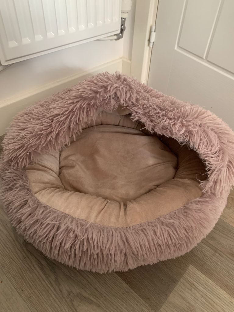 Cat bed igloo small dog pet bed