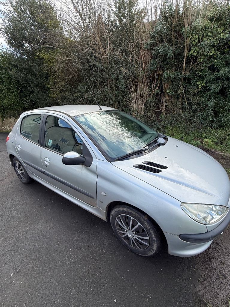 Peugeout 206 only 61000 miles, full service history brillant on petrol drives great