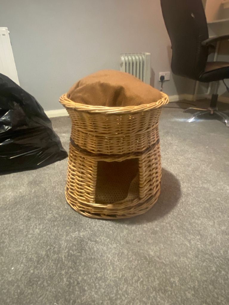 Cat bed 