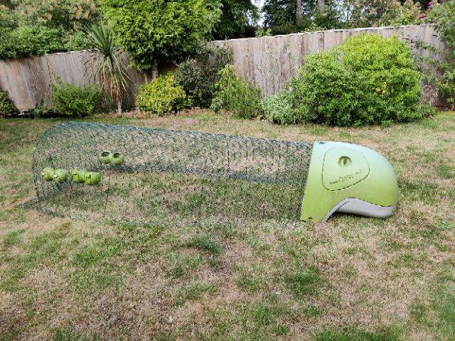 Omlet Eglu chicken run