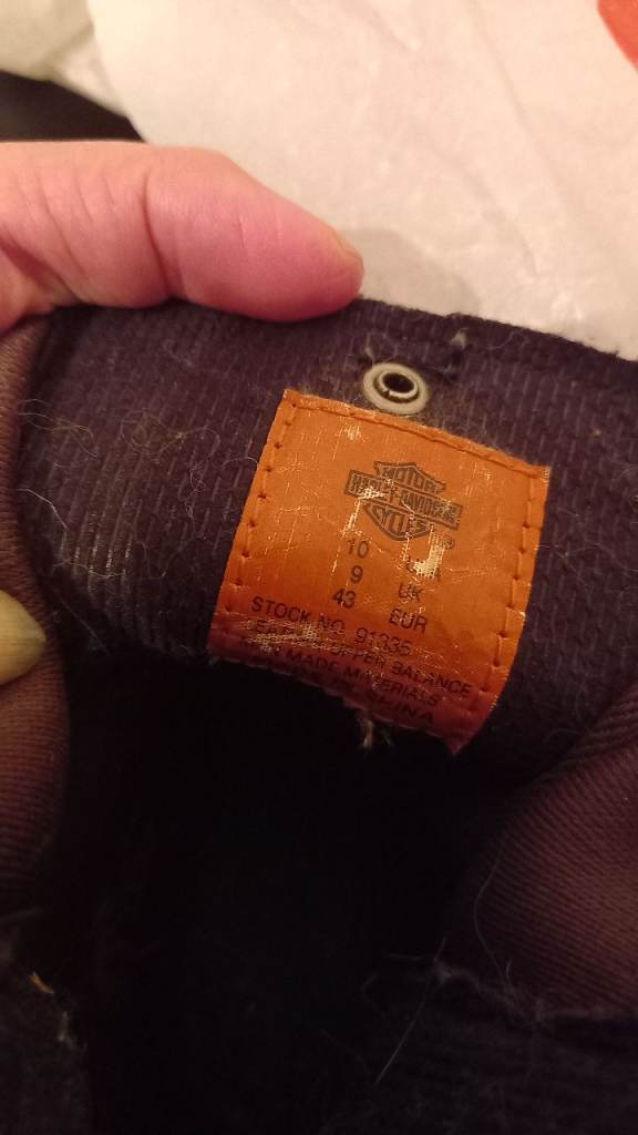 Harley Davidson boots 