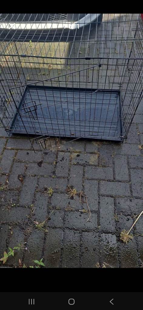 Large dog crate