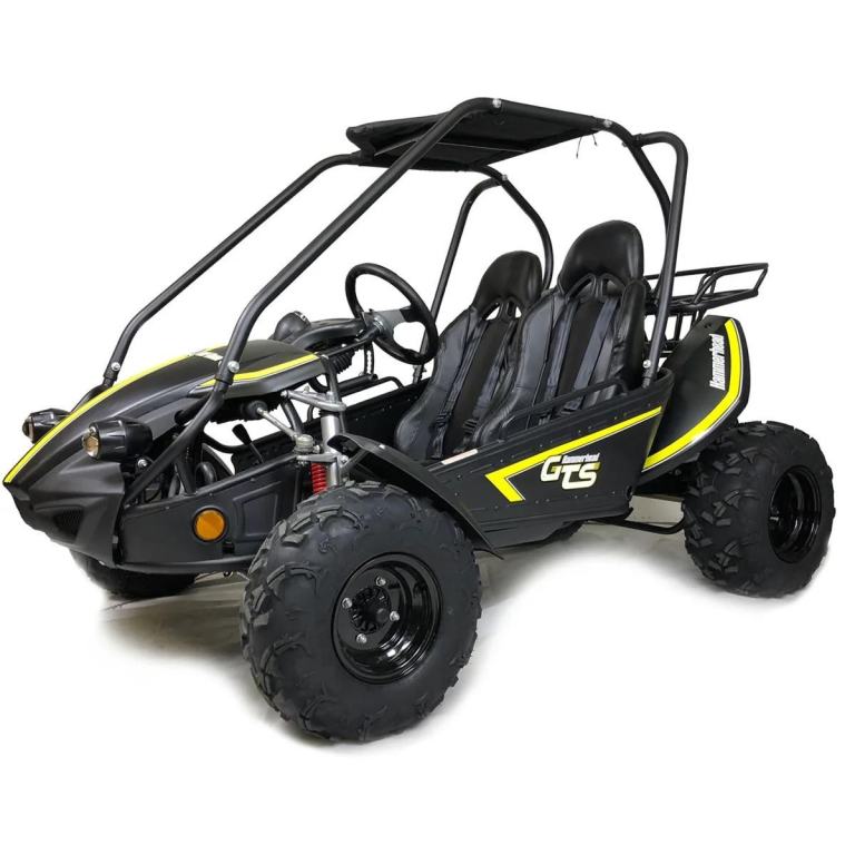 Hammerhead GTS 150 Buggy kids / teen /adult off-road 