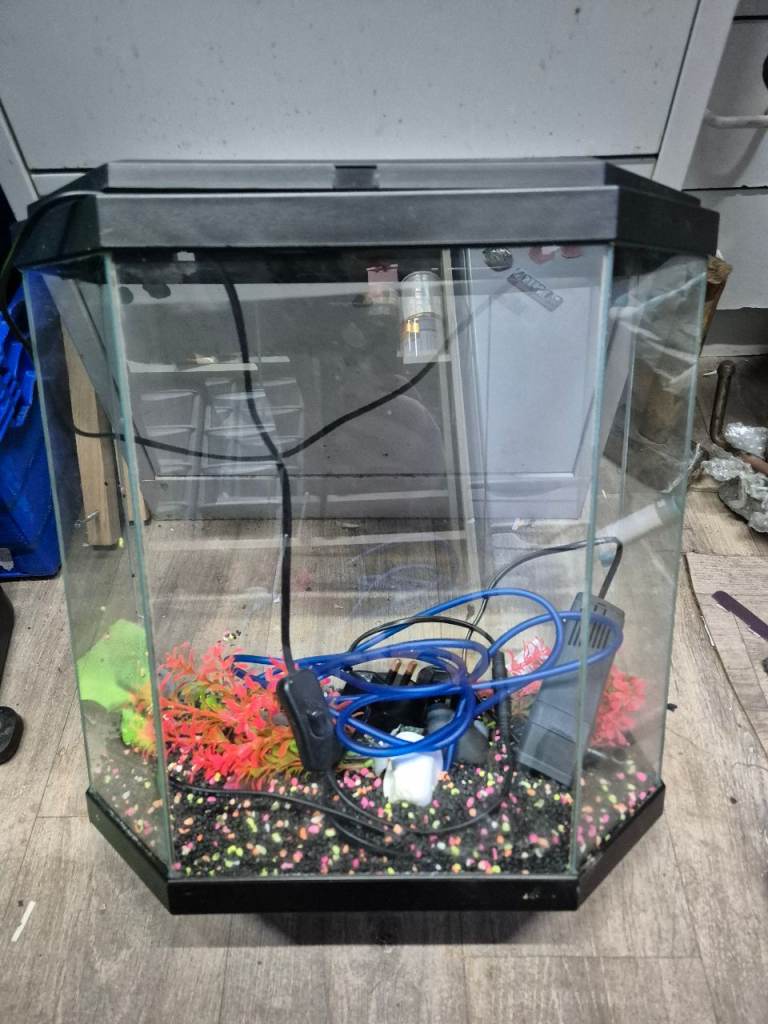 Small aquarium tank with filter and light
