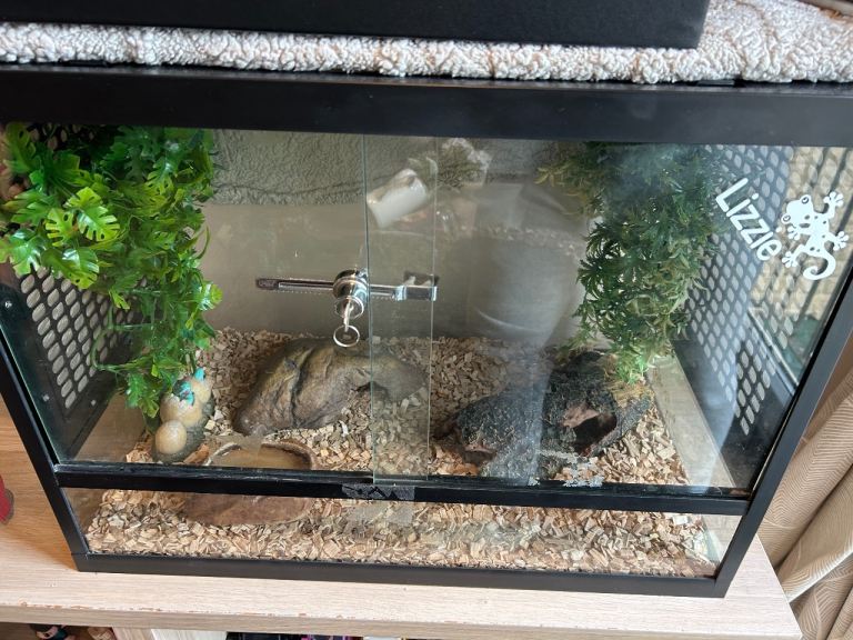 1.9x1.6x1.25 Vivarium