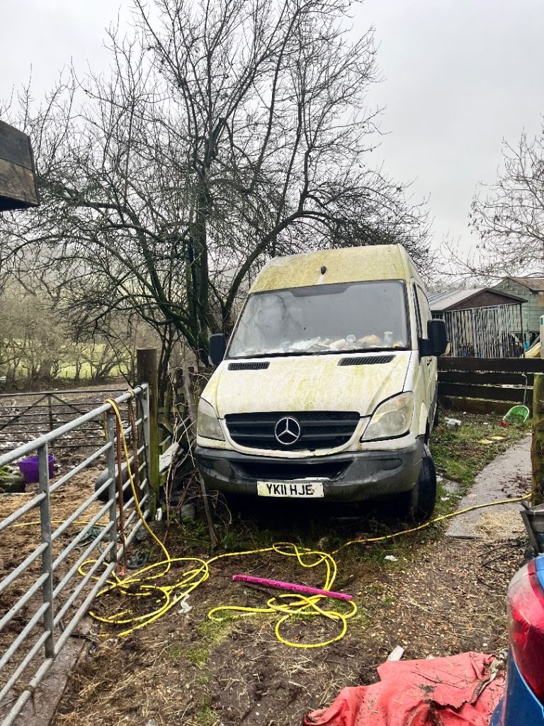 Mercedes-Benz, SPRINTER, Panel Van, 2011, Manual, 2143 (cc)