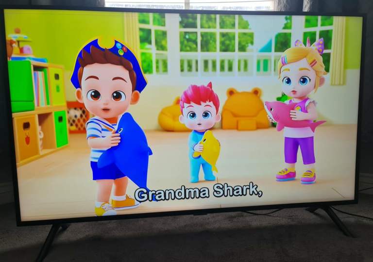 Samsung Smart 4K UltraHD 49inch HDR Tv (Please Read Description)