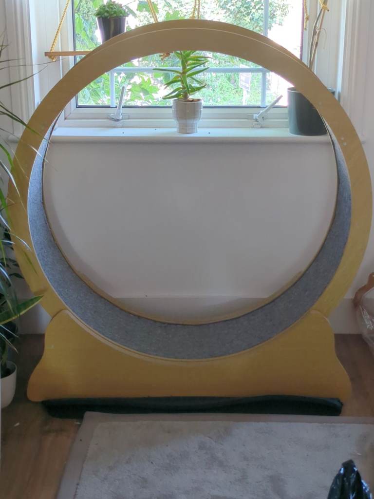 Cat wheel exercise wheel