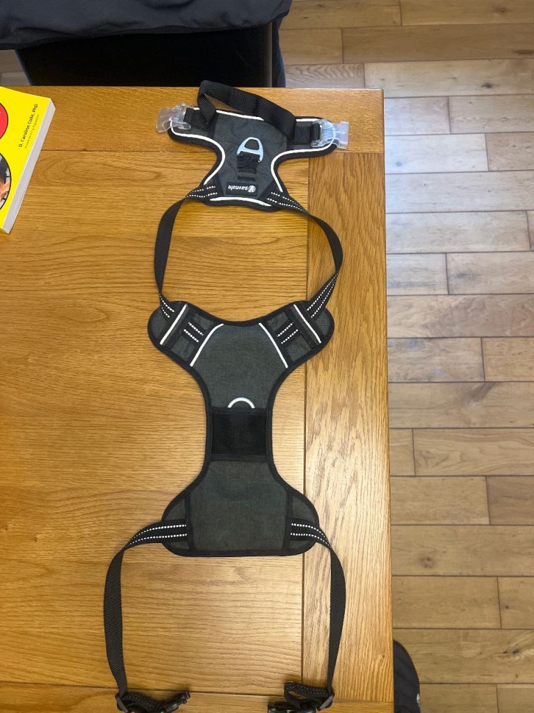 Dog Harness
