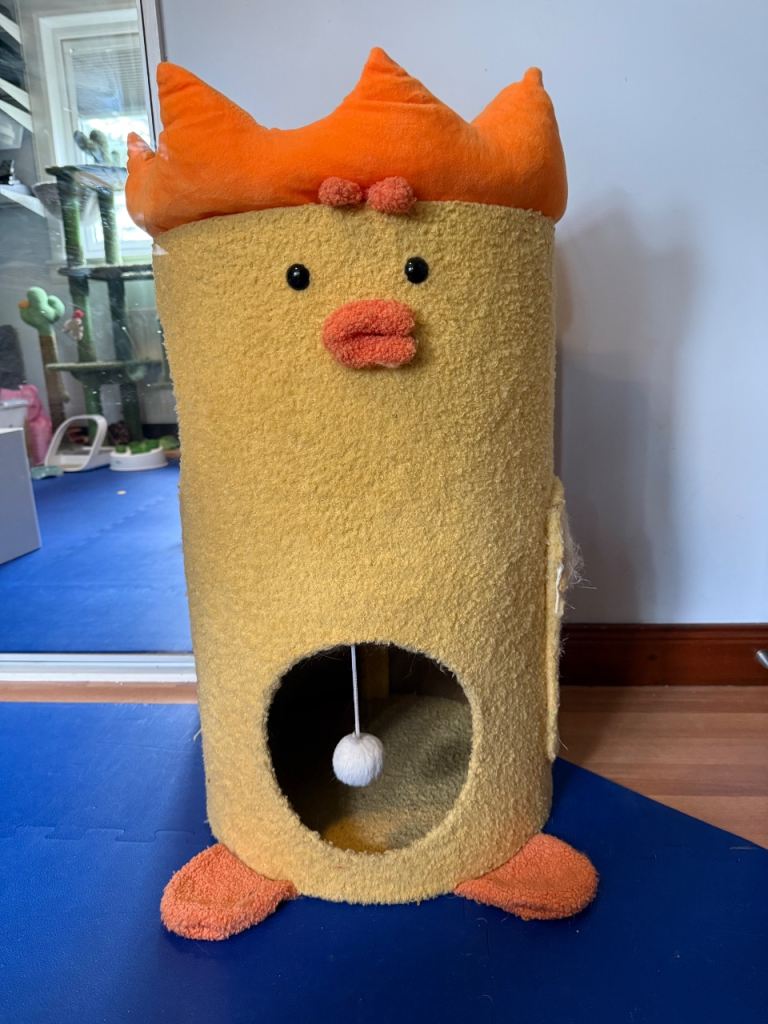Novelty chicken cat scratcher house 