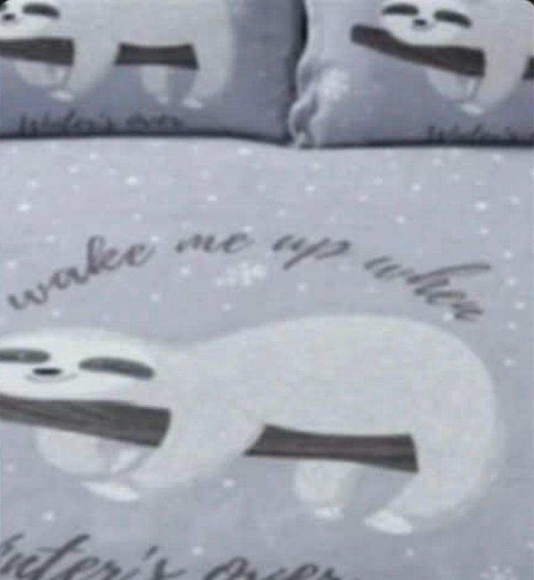 2 Olivia Rocco Lazy sloth fleece bedding set 