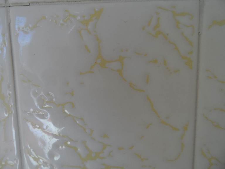 Wanted Johnsons 'chicken' ceramic tiles