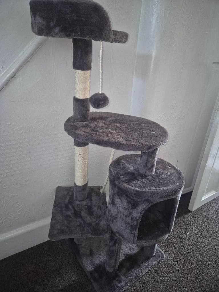 Cat scratcher 
