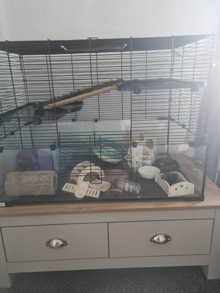 pawhut hamster cage