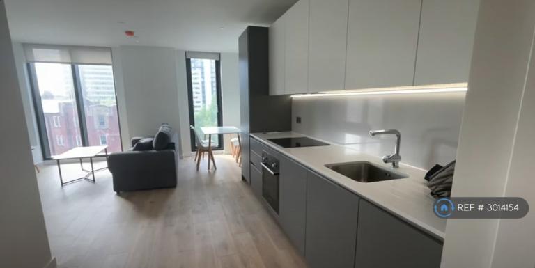1 bedroom flat in Aspin Lane, Manchester, M4 (1 bed) (#3014154)