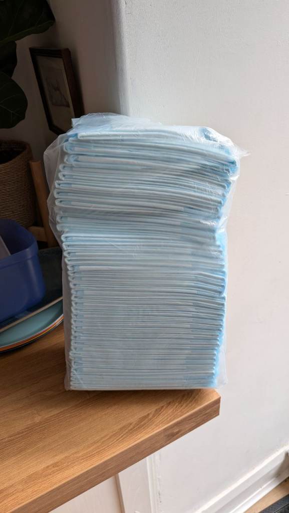 Free Dog Training Pads