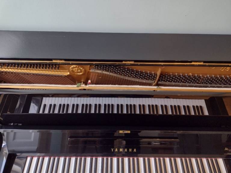 Beautiful Yamaha U3 Piano 